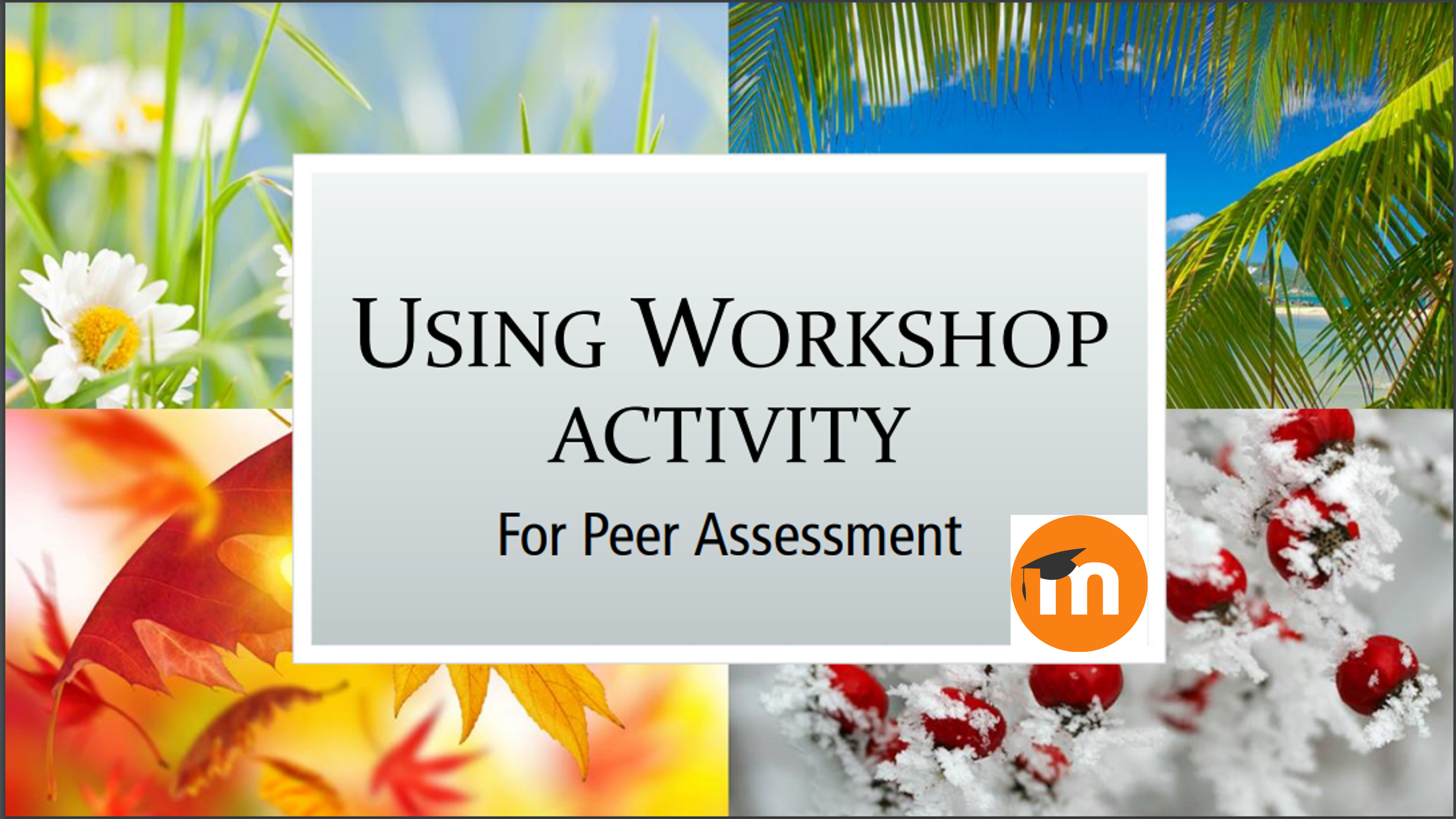 LMS: Peer Assessment using Workshop